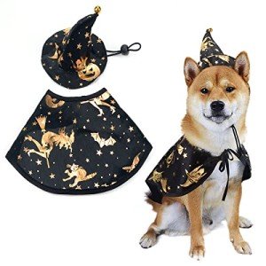 Pet Halloween Costumes with Adjustable Witch Hat