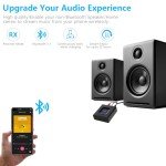 1Mii Bluetooth Audio Receiver with 12-Hour Playtime