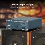 Fosi Audio V1.0G Mini 2-Channel Hi-Fi Amplifier