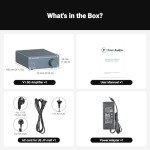 Fosi Audio V1.0G Mini 2-Channel Hi-Fi Amplifier