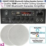 Bluetooth Ceiling Speaker System for Home & Restaurant