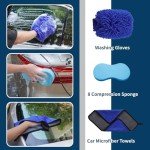 29-Piece Car Detailing Kit for All Surfaces