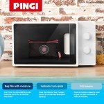 Pingi LV-A300 Reusable Dehumidifier for Cars & Homes