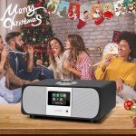 LEMEGA M3P WiFi Radio with Bluetooth & Alarm
