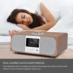 LEMEGA M3P WiFi Radio with Bluetooth & Alarm