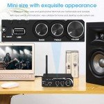 Bluetooth 5.0 Hi-Fi 320W Stereo Amplifier