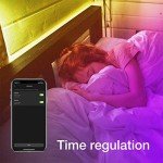 20m Smart LED Strip Lights for Alexa & Google Home