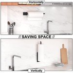 Under Cabinet Stainless Steel Paper Towel Holder