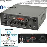Smart Home Bluetooth Speaker System with Mini Amp