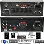 Smart Home Bluetooth Speaker System with Mini Amp