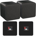 Smart Home Bluetooth Speaker System with Mini Amp