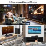 Saiyin 17-Inch Sound Bar with Subwoofer & Bluetooth