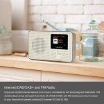LEMEGA Portable Wi-Fi Internet Radio with Bluetooth