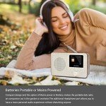LEMEGA Portable Wi-Fi Internet Radio with Bluetooth