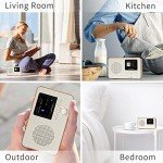 LEMEGA Portable Wi-Fi Internet Radio with Bluetooth