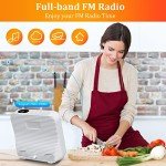 Bluetooth CD Player with Dual Speakers and Remote