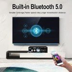 Bluetooth 5.0 100W Stereo Audio Amplifier