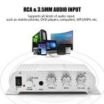 Queen.Y Hi-Fi Mini 2.1 Audio Amplifier