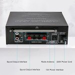Bluetooth 5.0 100W Stereo Audio Amplifier