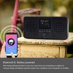 LEMEGA IR4S Portable WiFi/DAB/FM Internet Radio
