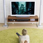 Multifunctional DVD Player with Remote and USB