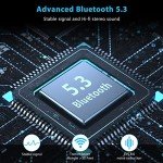 Bluetooth 5.3 Audio Receiver with Noise Cancelling Mic