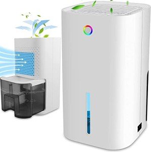Quiet Portable Mini Dehumidifier with Auto-Off Feature