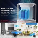 Quiet Portable Mini Dehumidifier with Auto-Off Feature
