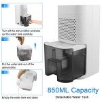 Quiet Portable Mini Dehumidifier with Auto-Off Feature