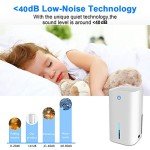 Quiet Portable Mini Dehumidifier with Auto-Off Feature
