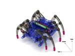 DIY Motorized Spider Robot Science Kit for Kids