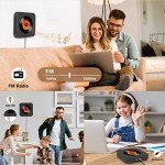 Bluetooth Wall-Mount CD Player with HIFI Speaker