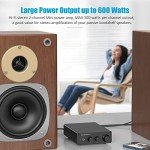 Fosi Audio TB10D 600W Class D Power Amplifier