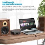 Fosi Audio TB10D 600W Class D Power Amplifier
