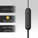 Sony WI-C100 Wireless In-ear Headphones - Black