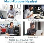 Wired Headset with Noise Cancelling Microphone