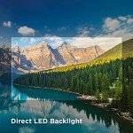 TCL 43-Inch 4K Smart TV with Roku & Dolby
