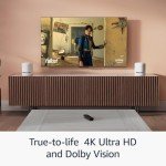 Fire TV Stick 4K Streaming Device with Wi-Fi 6
