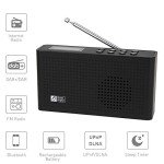 Ocean Digital Portable Wi-Fi/FM Radio with Bluetooth