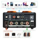 Douk Audio ST-01 Pro Mini Tube Amplifier