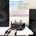 Douk Audio ST-01 Pro Mini Tube Amplifier