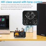 Douk Audio ST-01 Pro Mini Tube Amplifier