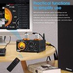 Douk Audio ST-01 Pro Mini Tube Amplifier