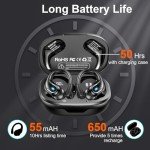 Ltinist Bluetooth 5.3 Wireless Earbuds with Mic