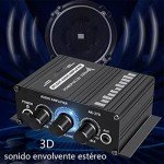 Portable HiFi Stereo Amplifier with Dual Channel Sound