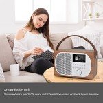 LEMEGA M2P Bluetooth DAB/FM Internet Radio