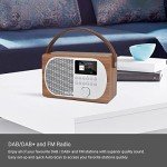LEMEGA M2P Bluetooth DAB/FM Internet Radio