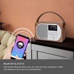 LEMEGA M2P Bluetooth DAB/FM Internet Radio