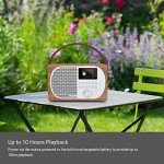 LEMEGA M2P Bluetooth DAB/FM Internet Radio