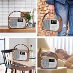LEMEGA M2P Bluetooth DAB/FM Internet Radio
